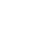 byd logo