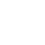 fiat logo